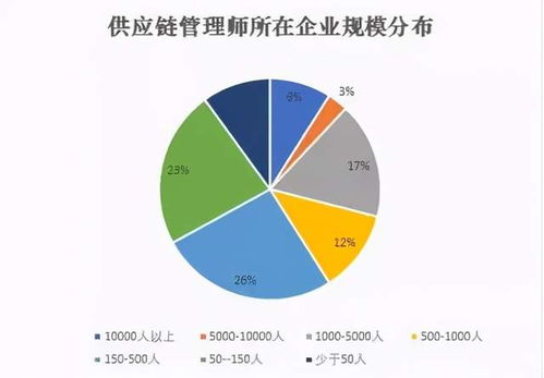 供應(yīng)鏈管理師 現(xiàn)代商業(yè)的“幕后指揮官”與配套服務(wù)生態(tài)